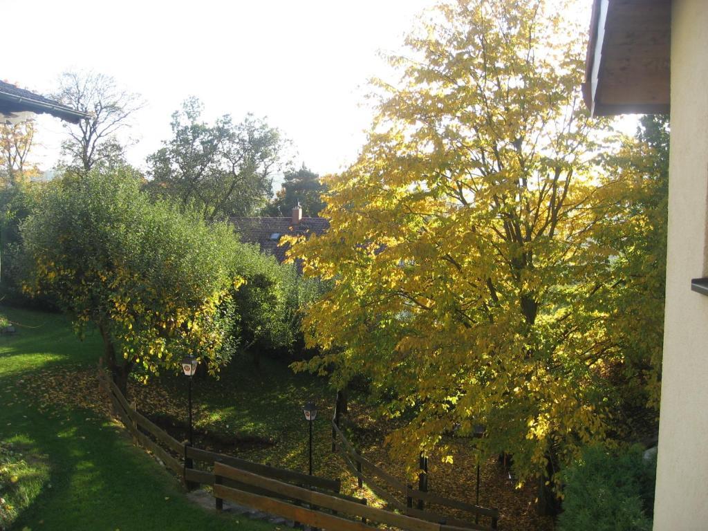 Hotel Landhaus Silbertanne Rotenburg an der Fulda Exteriör bild